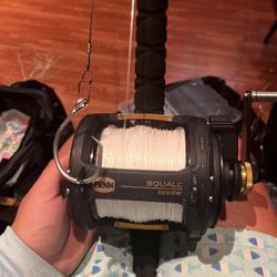 PENN SQUALL II 50VSW & ROLLER ROD