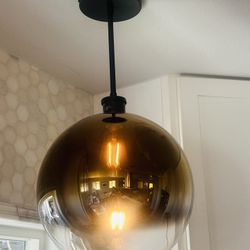 West Elm Sculptural Globe Flush Mount