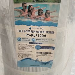 PureSpring Pool & Spa Replacement Filter