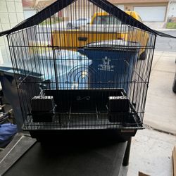 Bird Cage