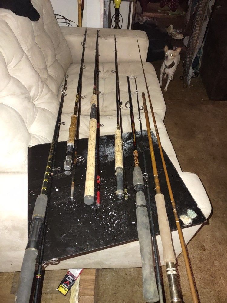 Assorted Fishing Poles 5