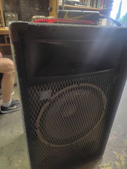 Pas 15inch speaker vintage