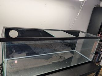 50 gal fishtank