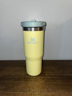 Stanley IceFlow Tumbler Pomelo 30oz Water Bottle 