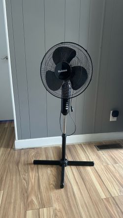 Summer Fan