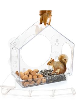 Squirrel feeder