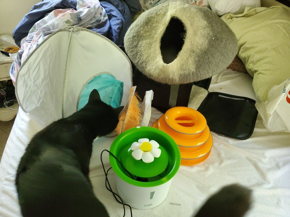 Cat Bundle