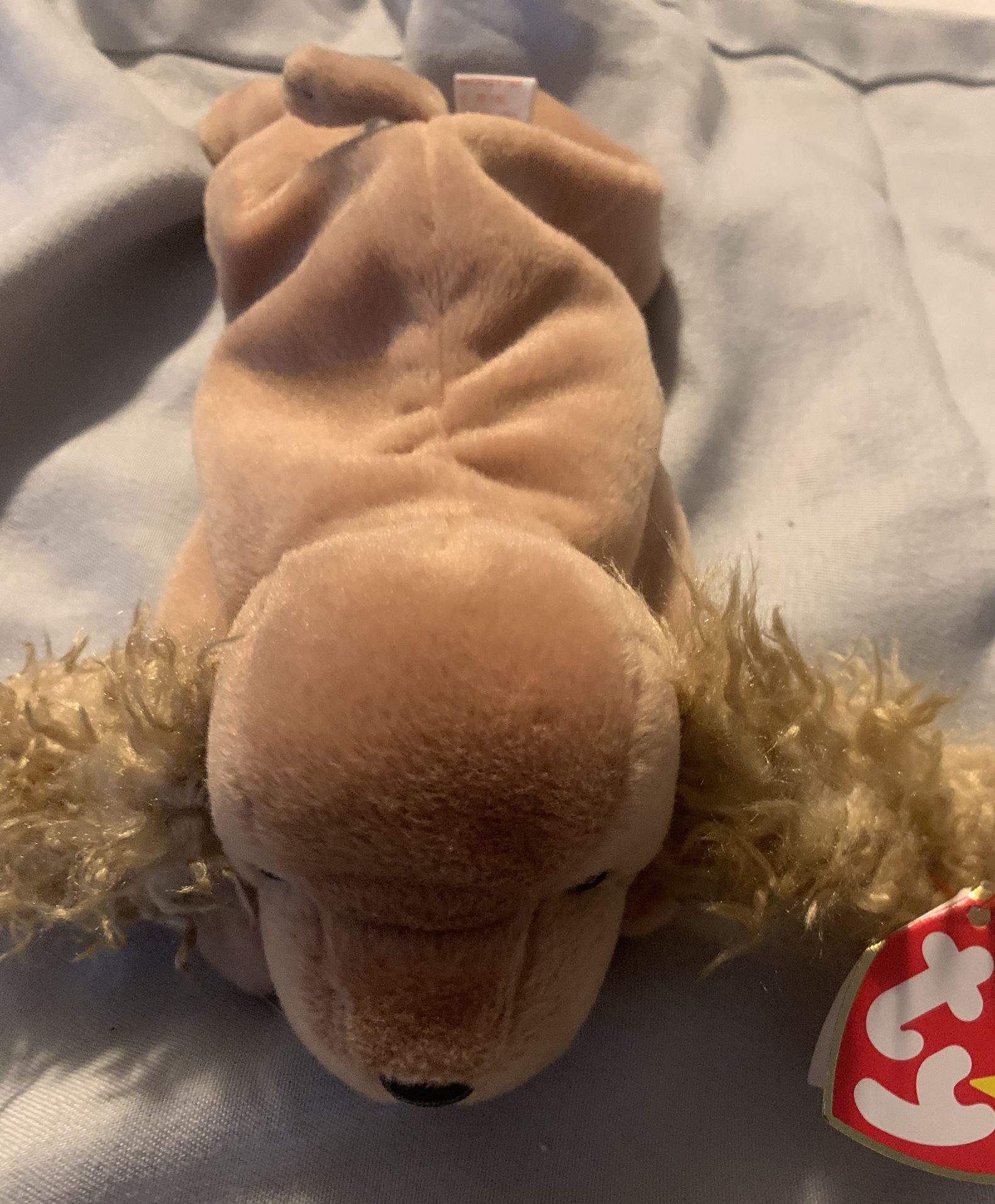 Ty Beanie Baby Spunky The Cocker Spaniel 1997 Retired W/ Tag errors new