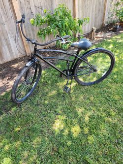Schwinn Hammersly 29" cruiser