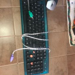 Old Mouse And Keyboard 