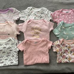 Baby Girl 6-9 Month Lot 