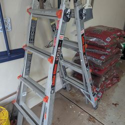 Little Giant Ladder 