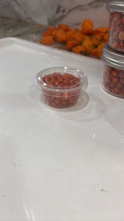 Chiltepin