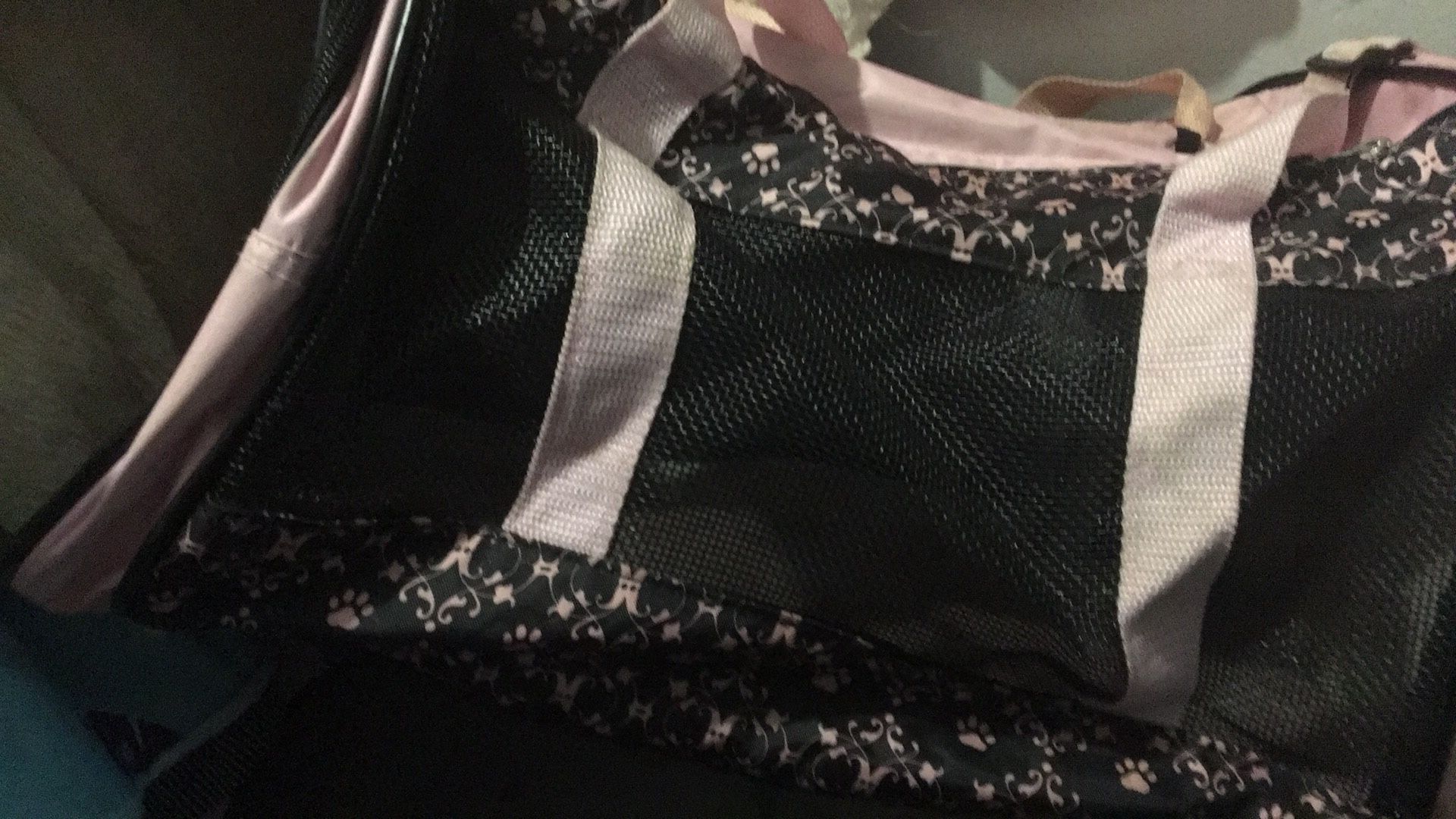 Pet Carrier