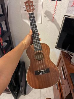 Ukulele Used
