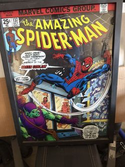 Spider-man Frame
