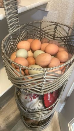 eegs