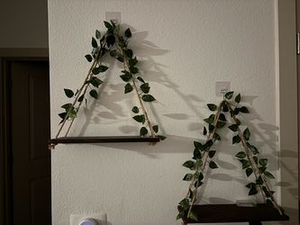 Wall decor/ shelves