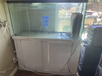 Fish Tank