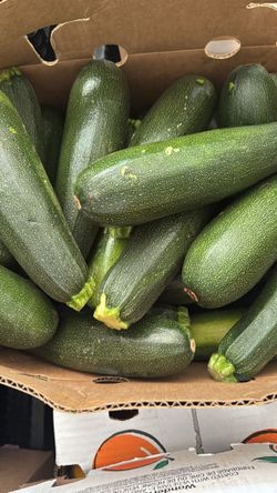 Free Produce Giveaway 
