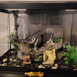 Fish Tank With All Accessories 