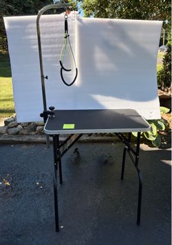 Pet grooming table with harness