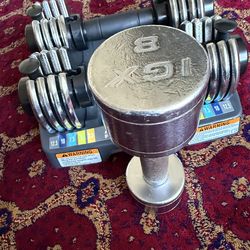 Pro-Form adjustable dumbbell