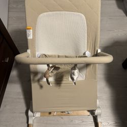 Baby Delight Bouncer 