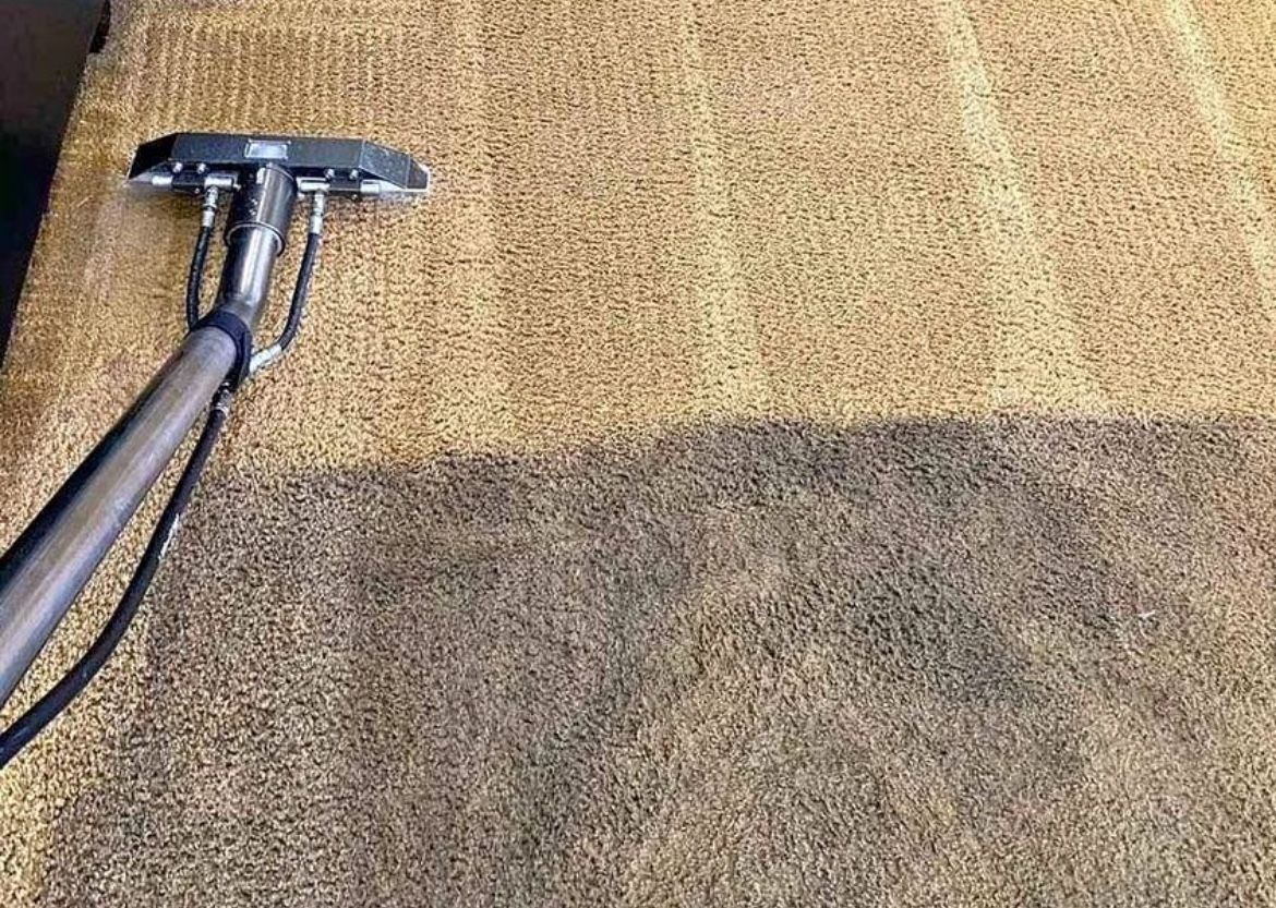 Carpet Steam Shampoo