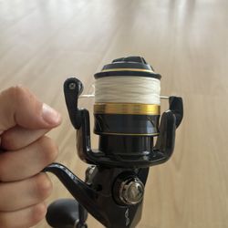 Shimano Spheros SW6000 HGA