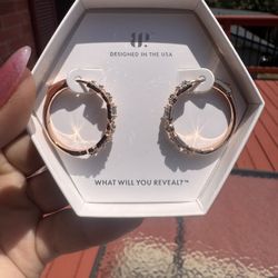 Rose Gold Earrings with Aquamarine  Stones 