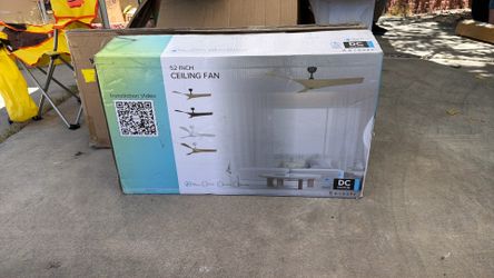 Ceiling fan