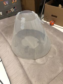 Surgical cone/ dog cone for a large dog. Transparent and comfortable. Allows your dog to see from the sides and not feel so trapped