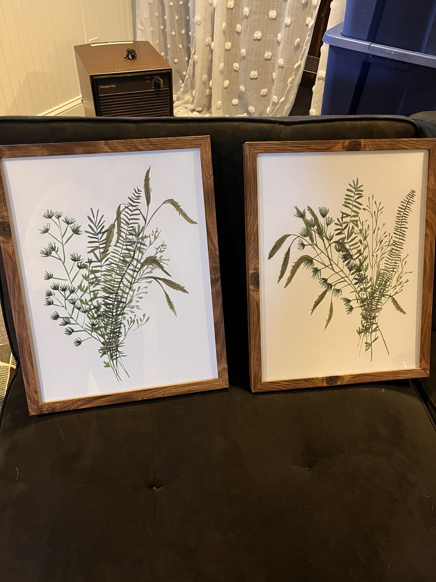 Set Of 2 Wall Art - Plants