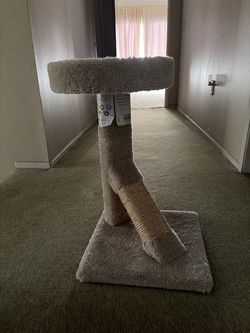 Cat scratcher new