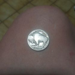    BUFFLO HEAD   NICKEL Silver