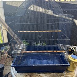 Bird Cage