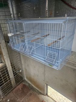 Jaula de canario bird cage