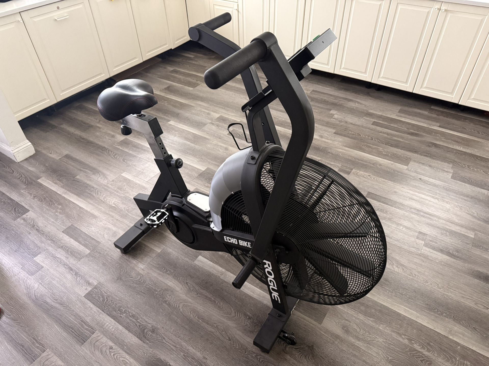 Rogue Echo Bike + Extras