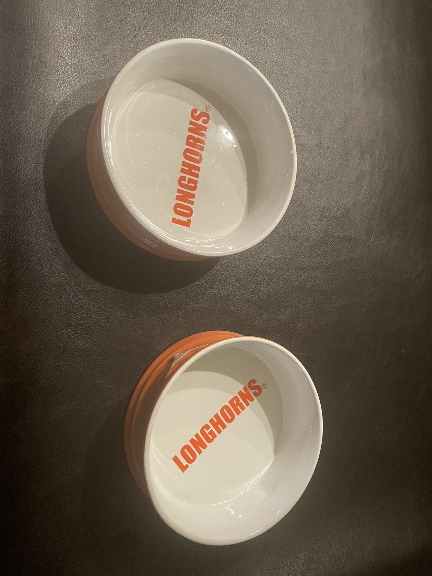 Longhorn Dog Dish X2