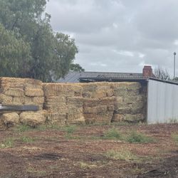 3 Way Oat Hay Bales