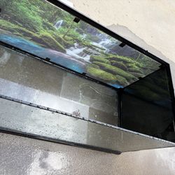 40 Gallon Tank 