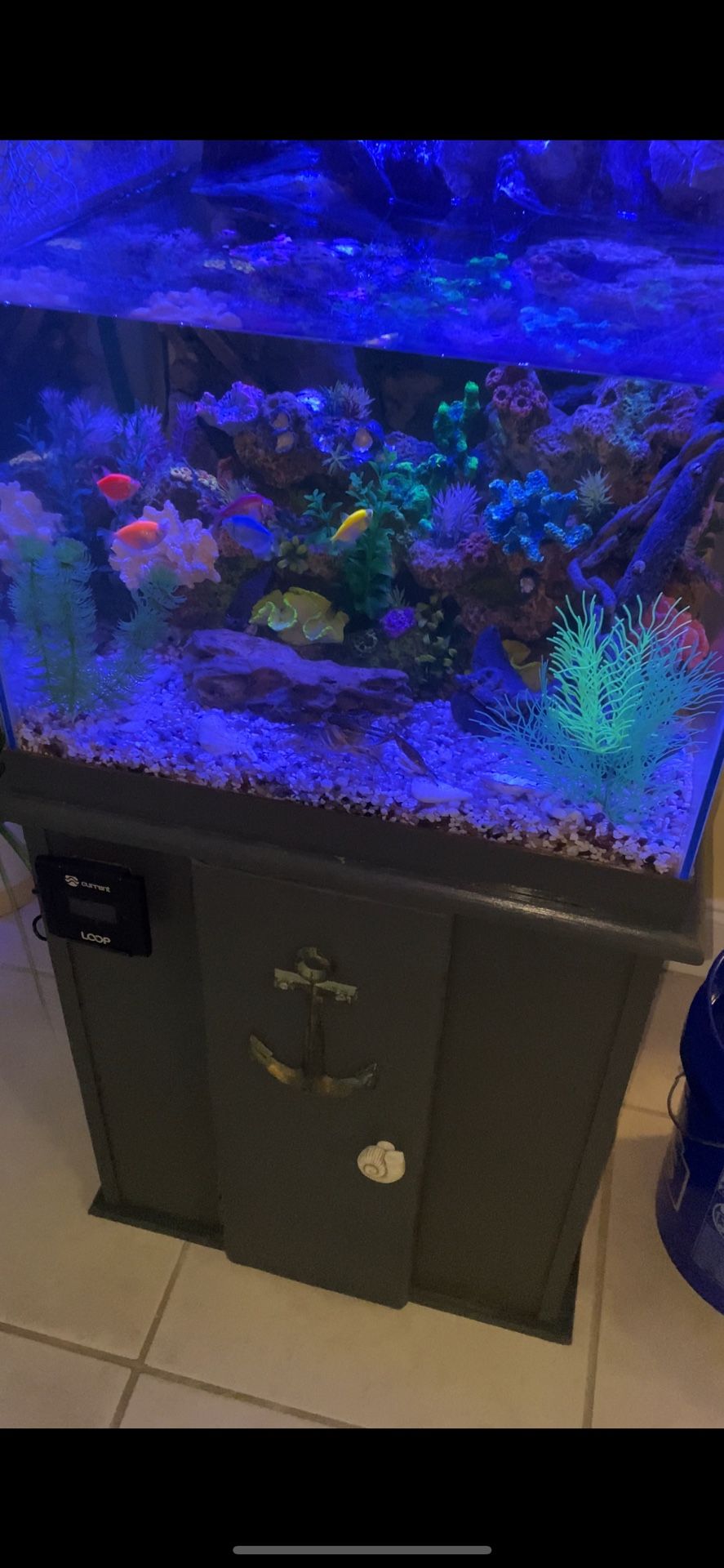 Fish Tank With Decoration 