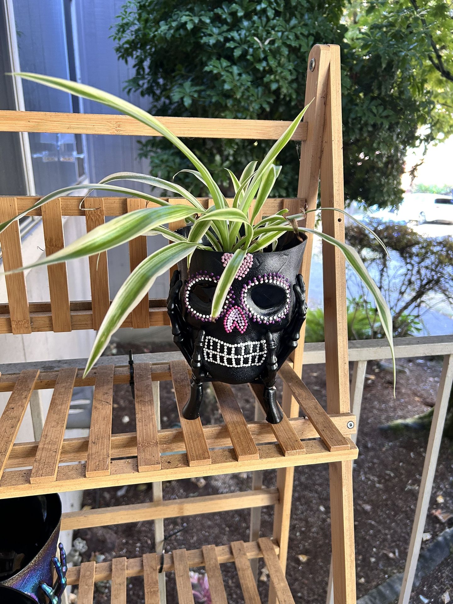 Skull plant pot planter 7” X 5”