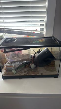 Reptile tank