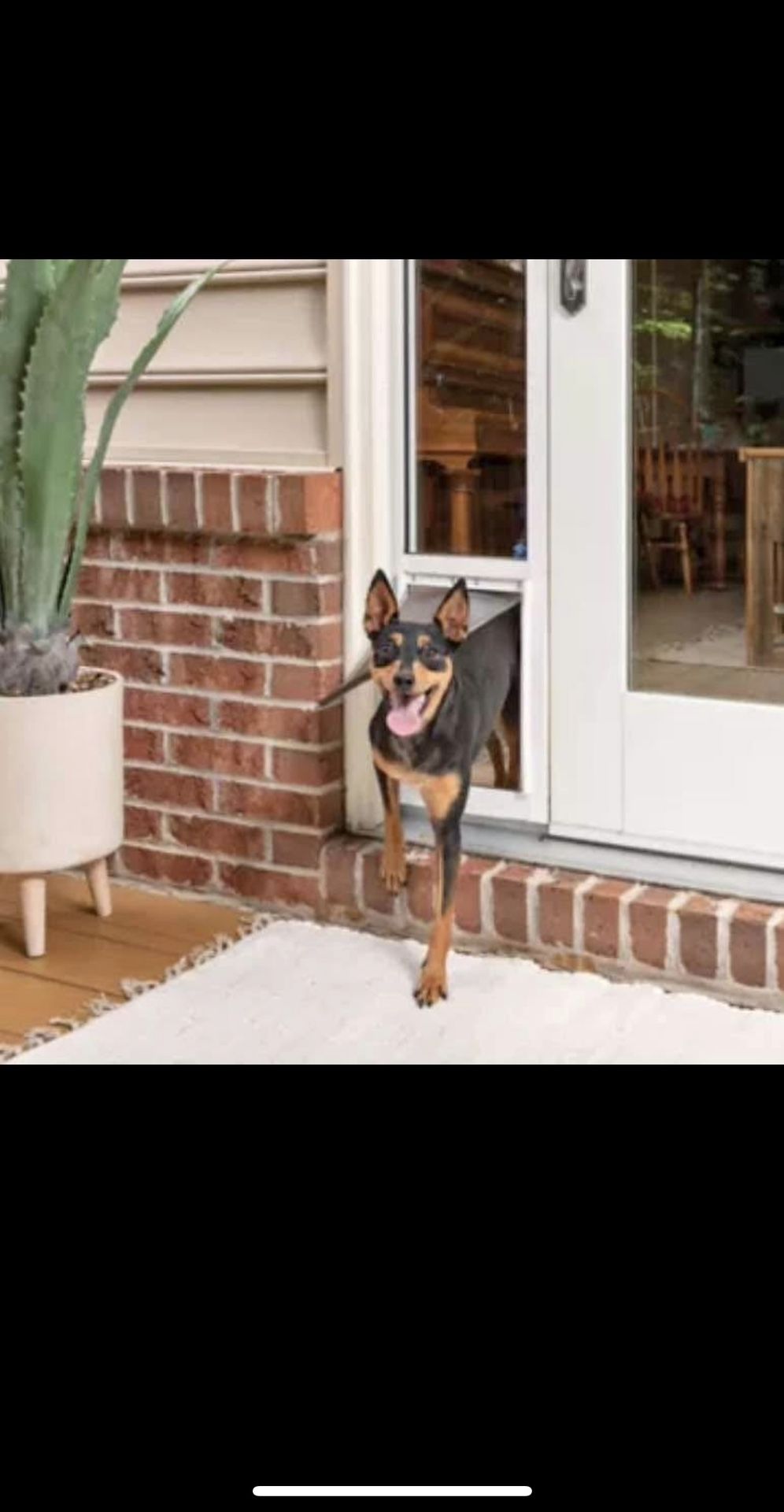 Sliding Glass Dog Door insert 