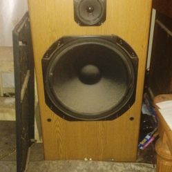 Two 250 Watt Floor Standing Speakers With Reset Woofers