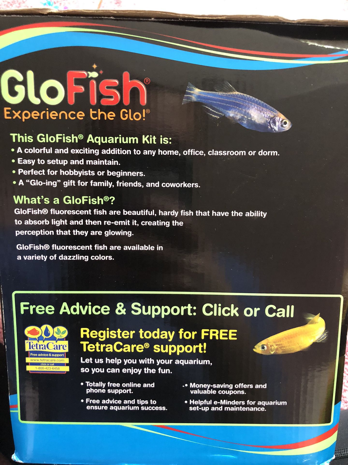 Small GloFish Aquarium