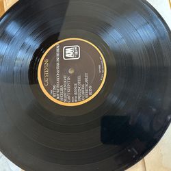Vinyl Cat Stevens 