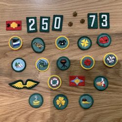 Girl Scout badges, Wings, Number + 3 Gold Star Pins.  $50